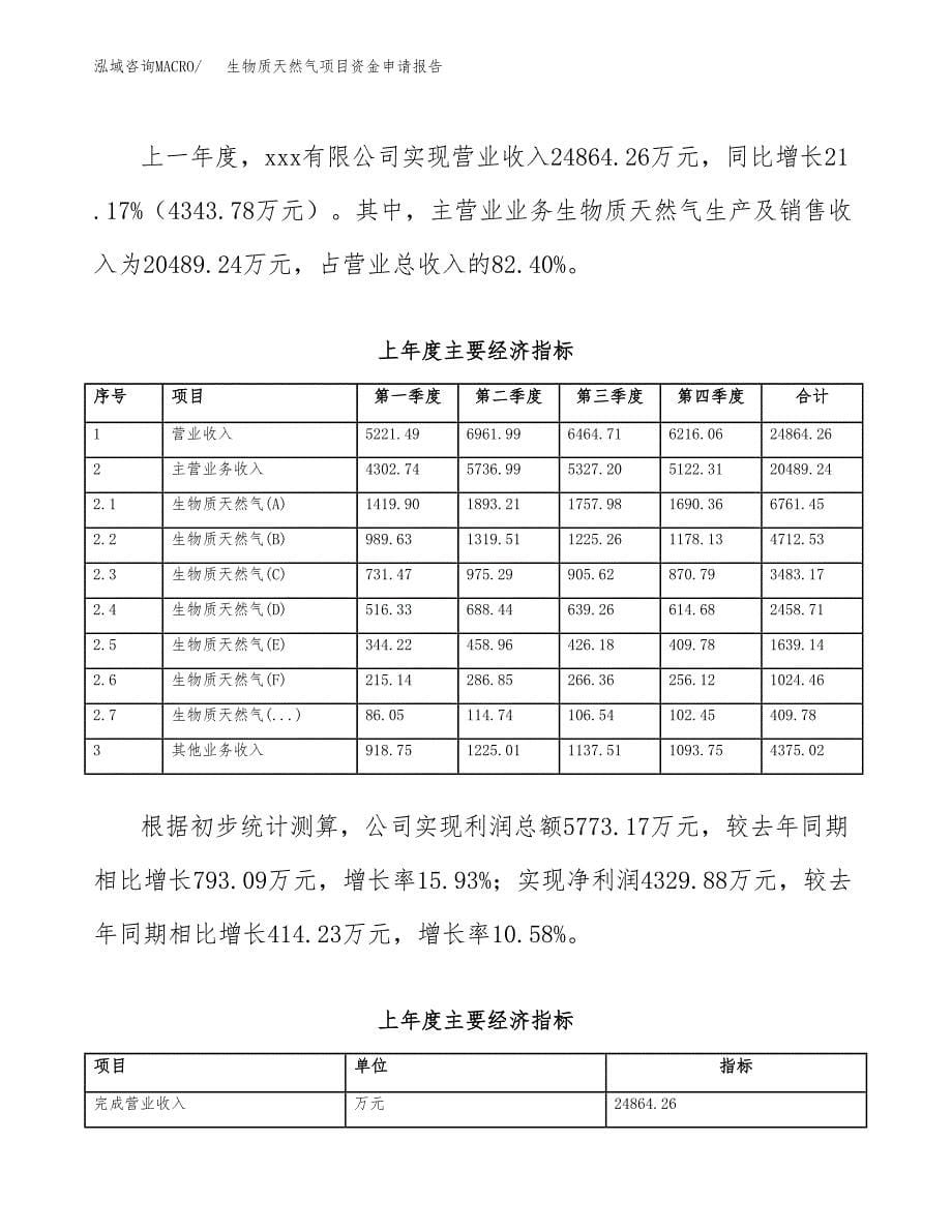 生物质天然气项目资金申请报告.docx_第5页