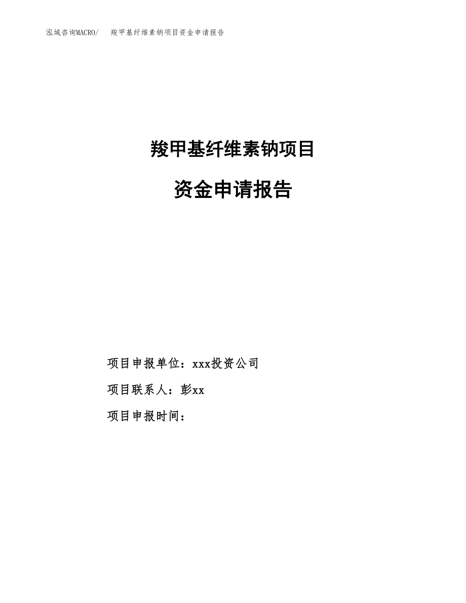 羧甲基纤维素钠项目资金申请报告.docx_第1页