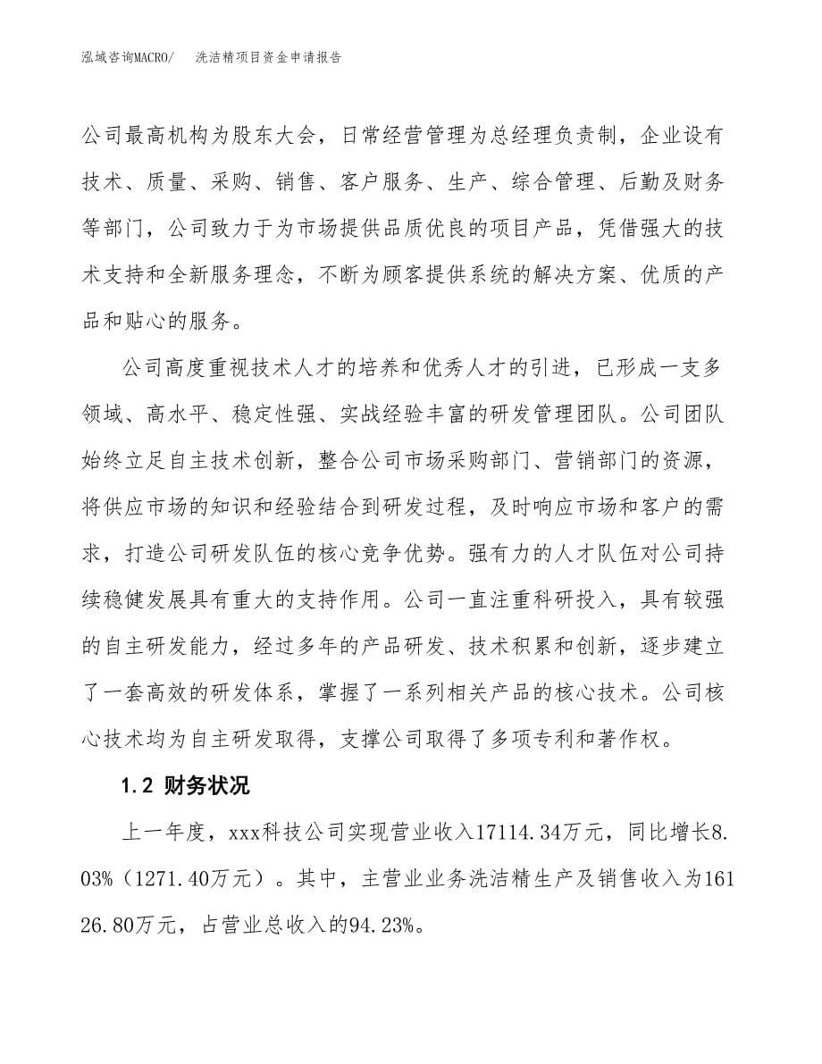 洗洁精项目资金申请报告.docx_第5页