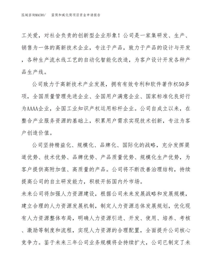 蛋筒和威化筒项目资金申请报告.docx_第4页