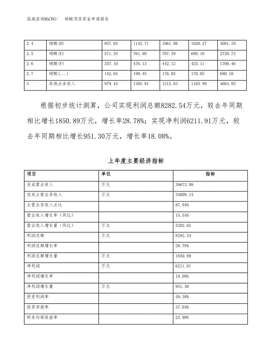 硝酸项目资金申请报告.docx_第5页