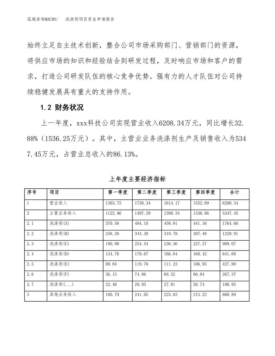 洗涤剂项目资金申请报告.docx_第5页