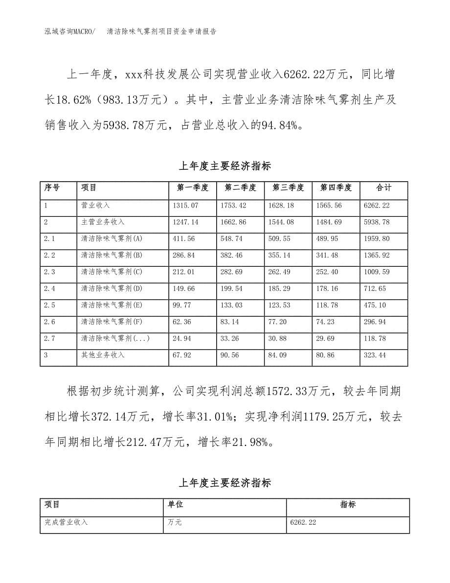 清洁除味气雾剂项目资金申请报告.docx_第5页