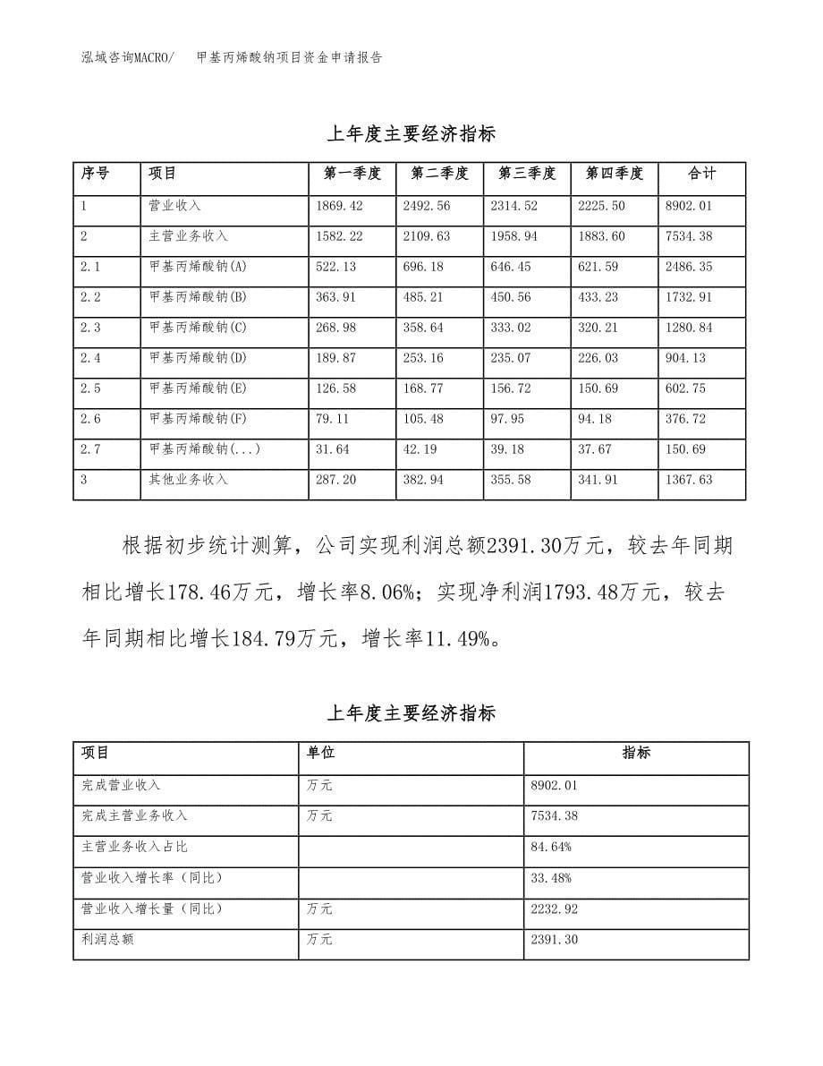 甲基丙烯酸钠项目资金申请报告.docx_第5页