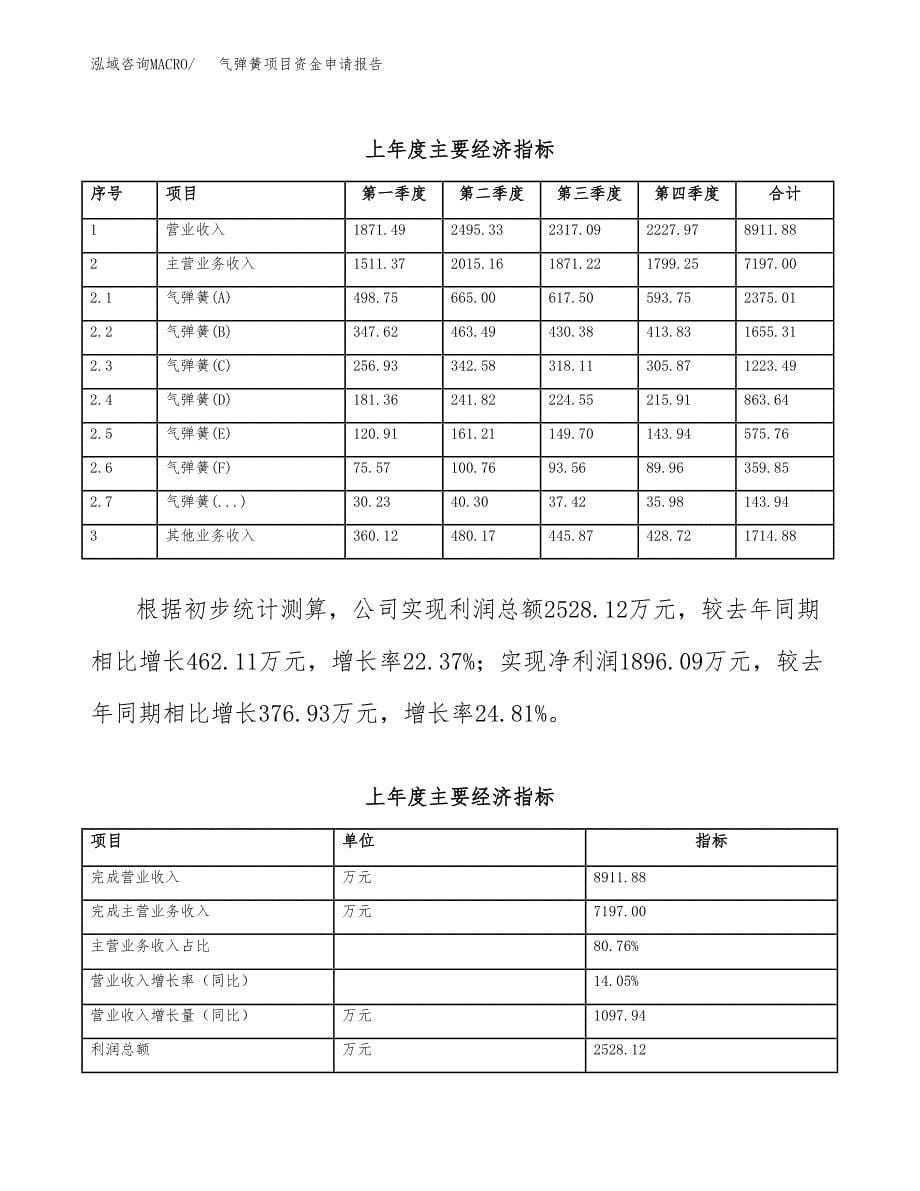 气弹簧项目资金申请报告.docx_第5页