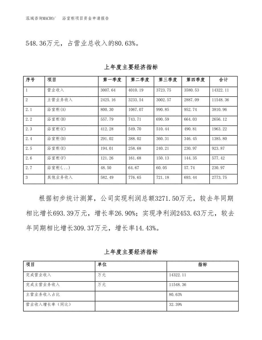 浴室柜项目资金申请报告.docx_第5页