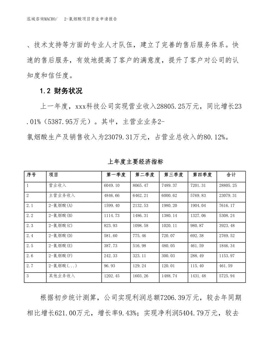 2-氯烟酸项目资金申请报告.docx_第5页