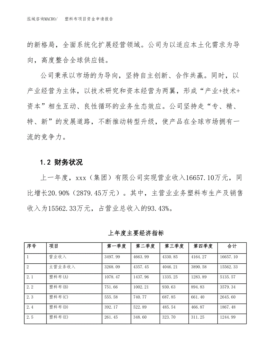 塑料布项目资金申请报告.docx_第4页