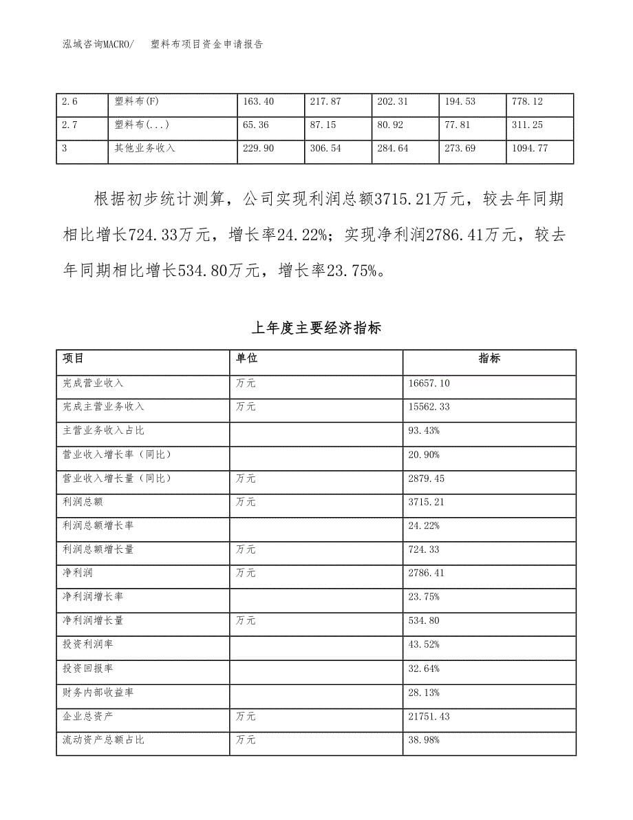 塑料布项目资金申请报告.docx_第5页