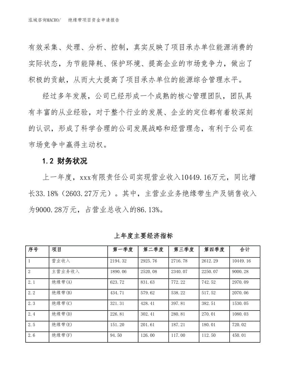 绝缘带项目资金申请报告.docx_第5页