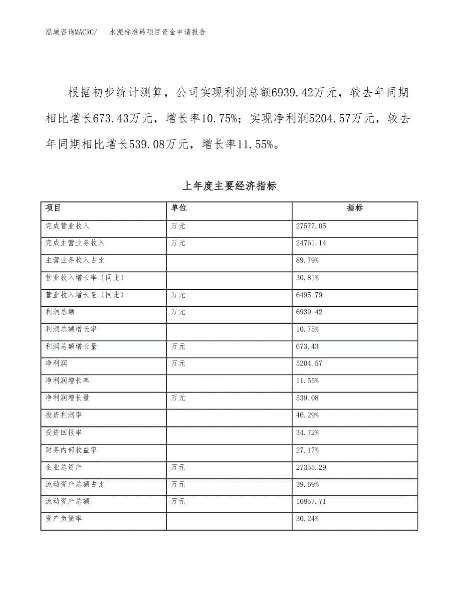 水泥标准砖项目资金申请报告.docx_第5页