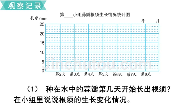 苏教版小学数学年五级下册第二单元折线统计图综合与实践 蒜叶的生长_第5页