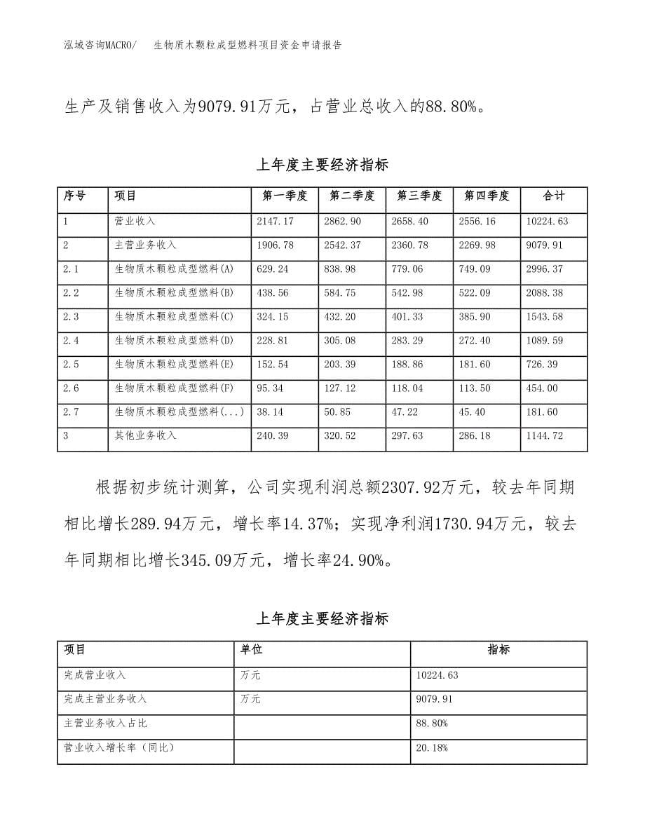 生物质木颗粒成型燃料项目资金申请报告.docx_第5页