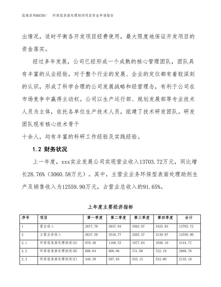 环保型表面处理助剂项目资金申请报告.docx_第5页