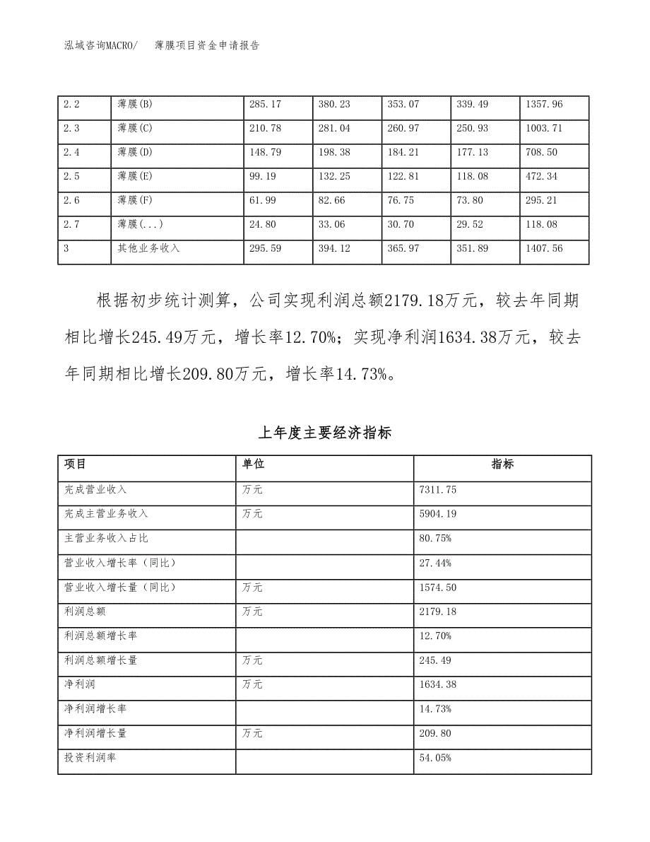 薄膜项目资金申请报告.docx_第5页