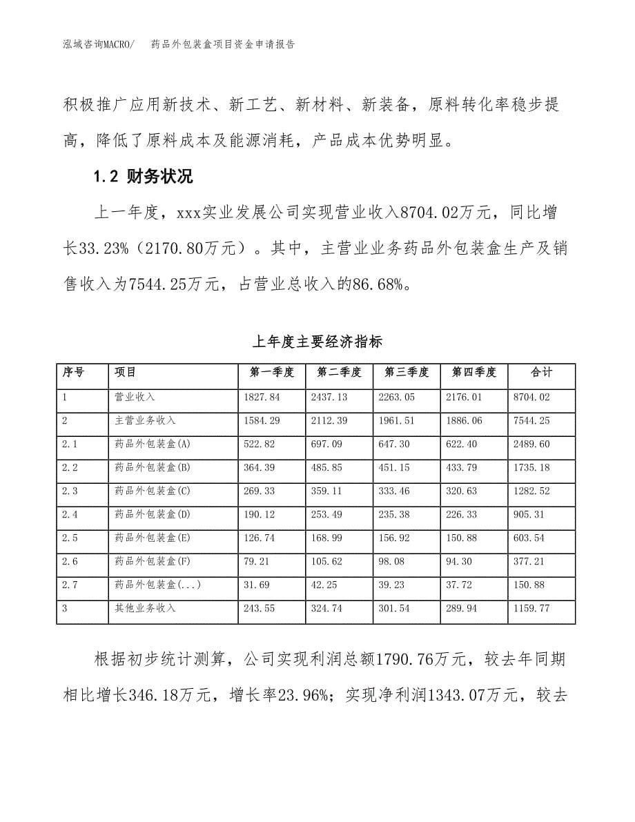 药品外包装盒项目资金申请报告.docx_第5页