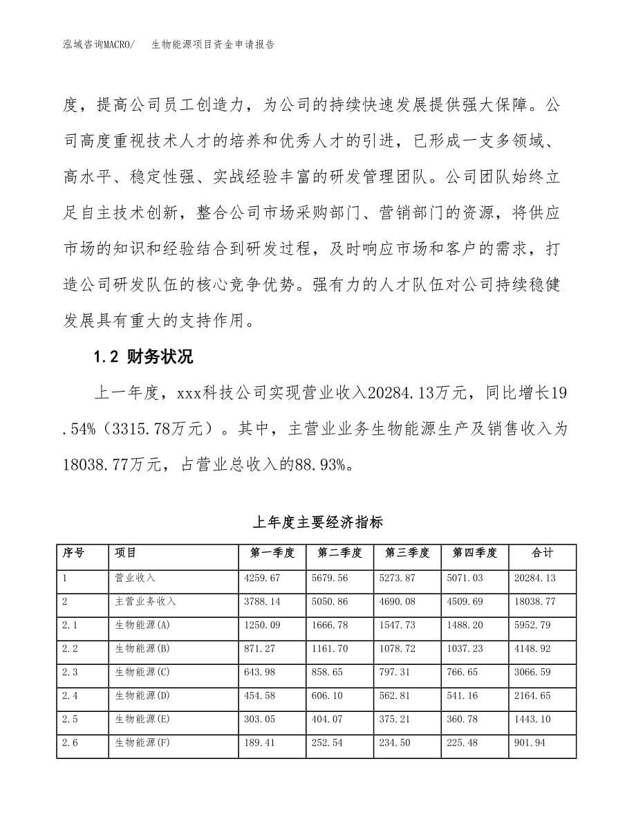 生物能源项目资金申请报告.docx_第5页