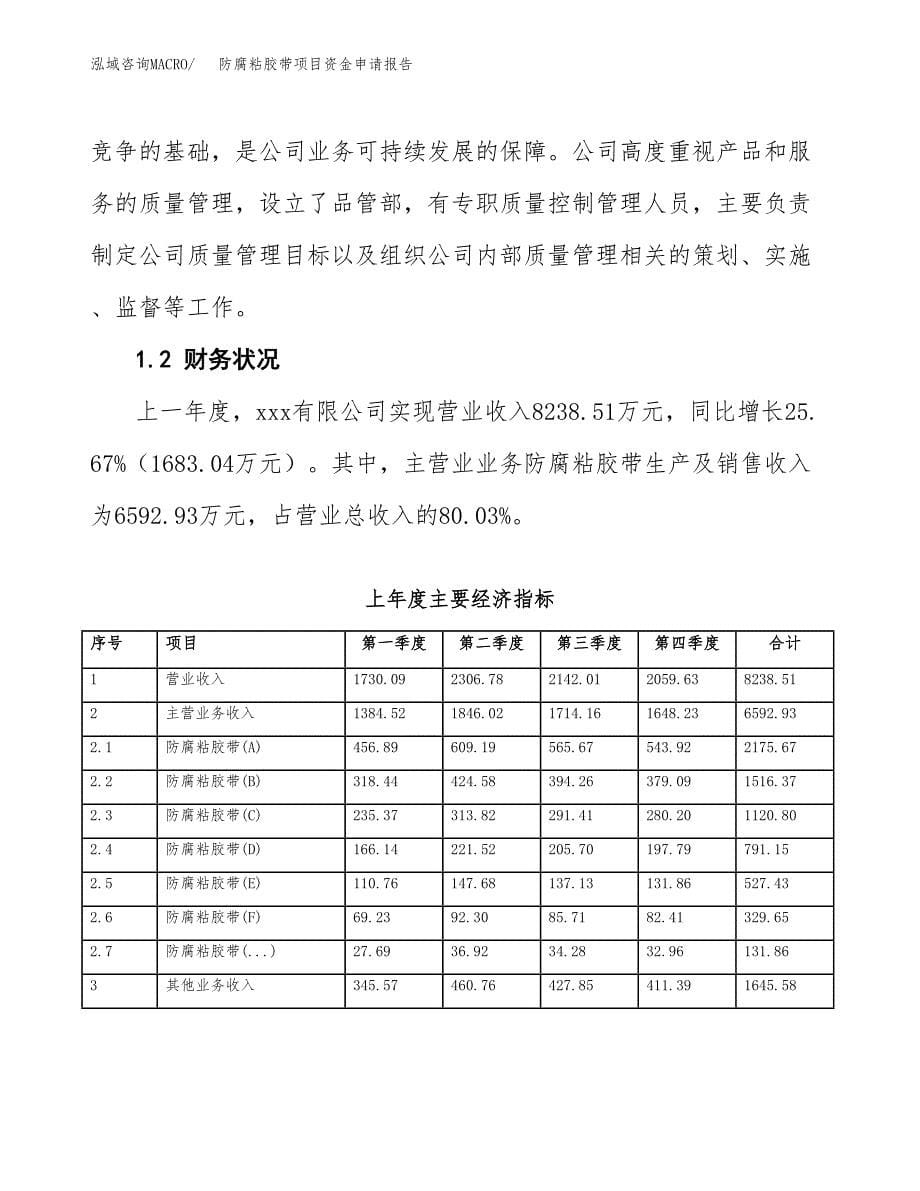 防腐粘胶带项目资金申请报告.docx_第5页