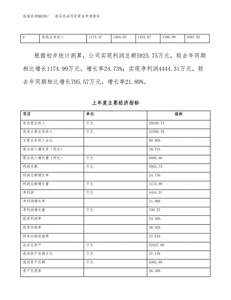 液压总成项目资金申请报告.docx_第5页