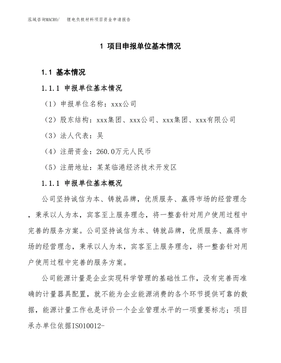 锂电负极材料项目资金申请报告.docx_第3页