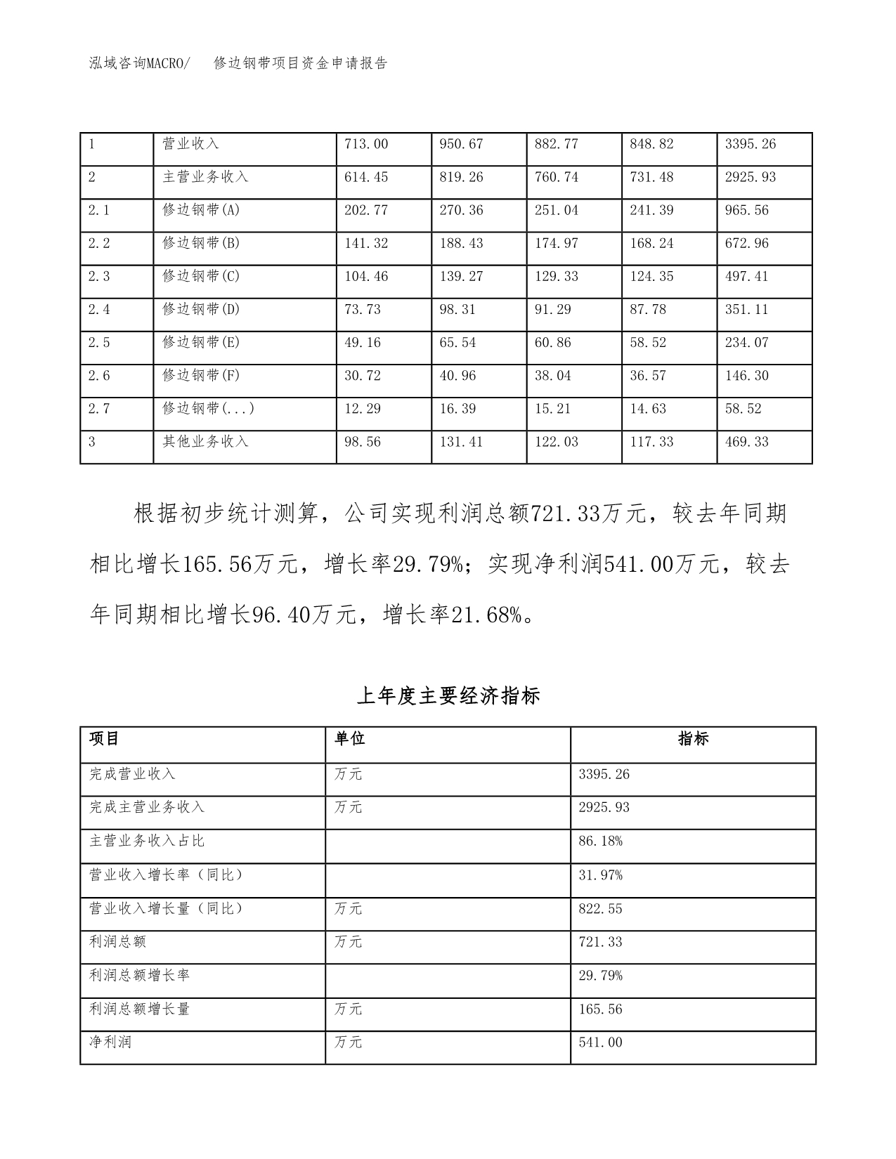修边钢带项目资金申请报告.docx_第5页