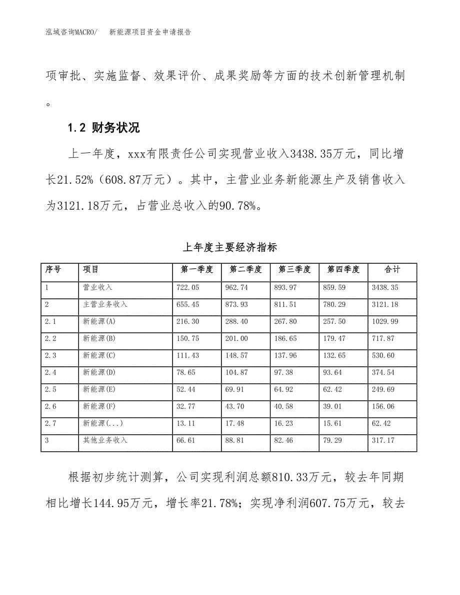 新能源项目资金申请报告.docx_第5页