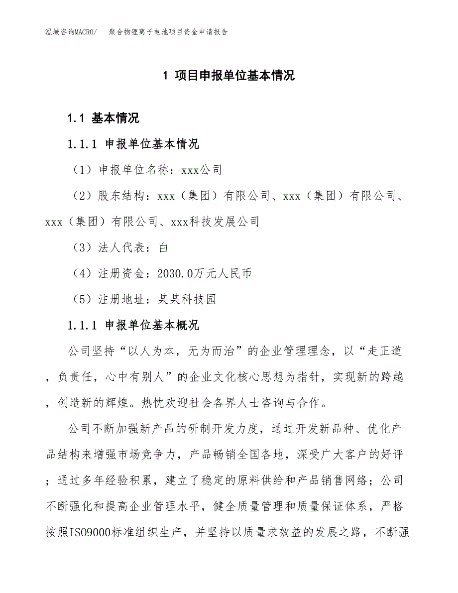 聚合物锂离子电池项目资金申请报告.docx_第3页