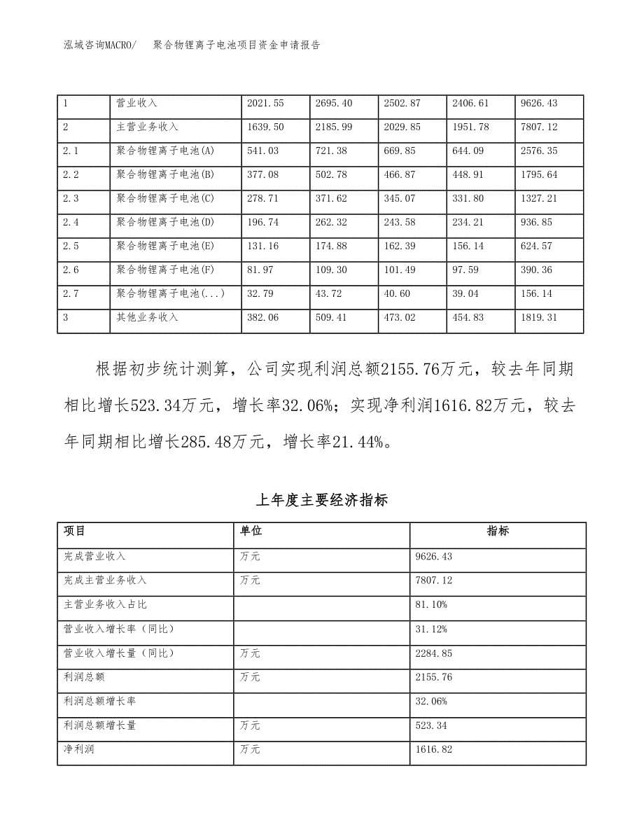 聚合物锂离子电池项目资金申请报告.docx_第5页