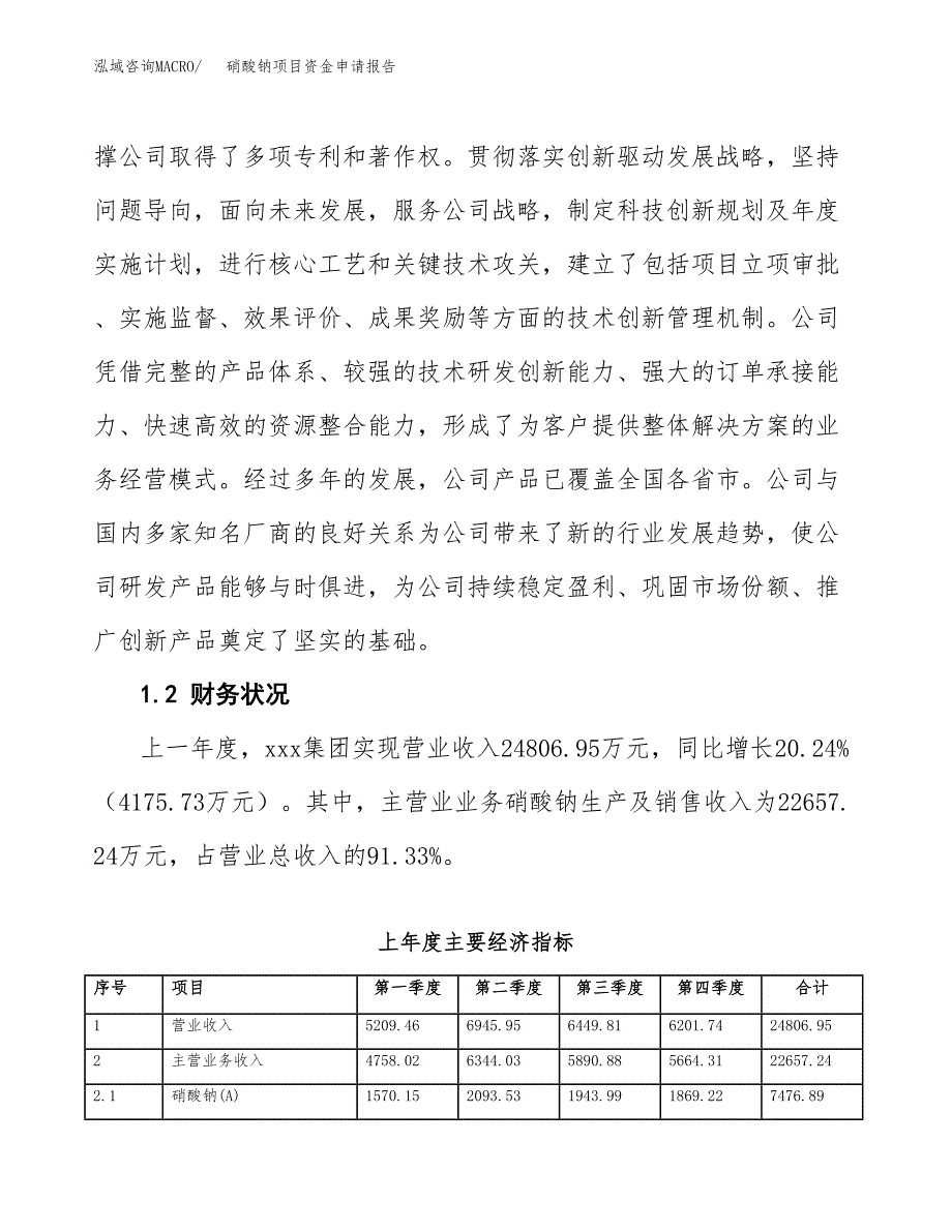 硝酸钠项目资金申请报告.docx_第4页