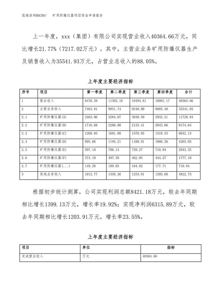 矿用防爆仪器项目资金申请报告.docx_第5页