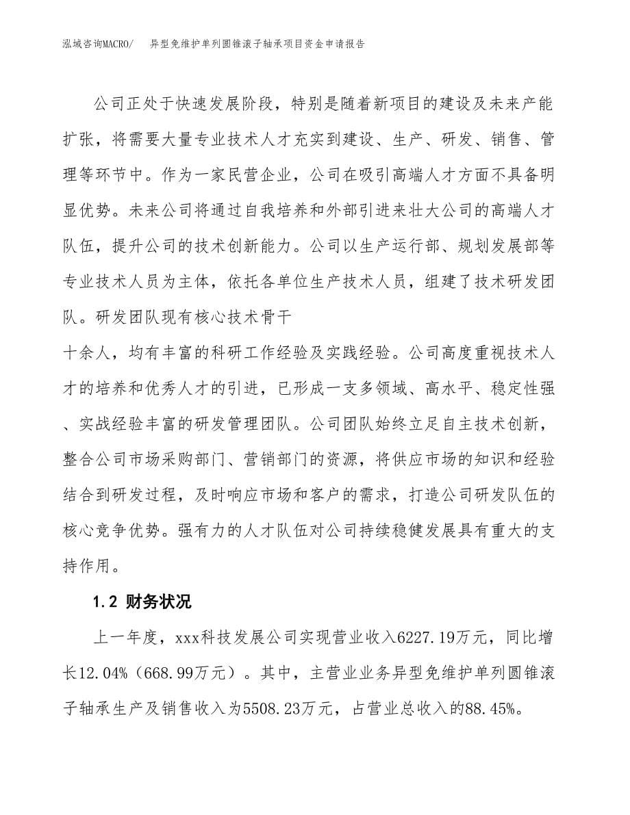 异型免维护单列圆锥滚子轴承项目资金申请报告.docx_第5页