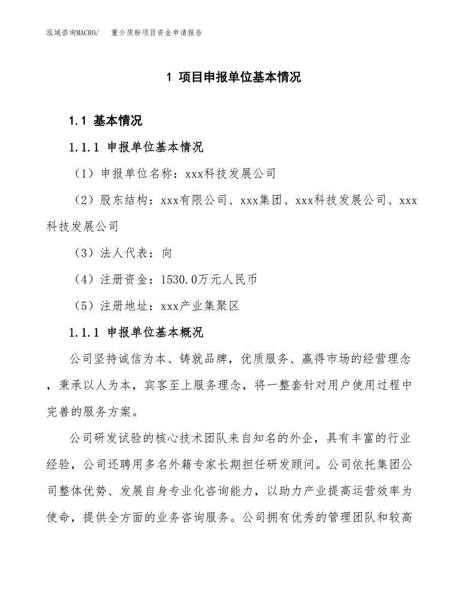 重介质粉项目资金申请报告.docx_第3页