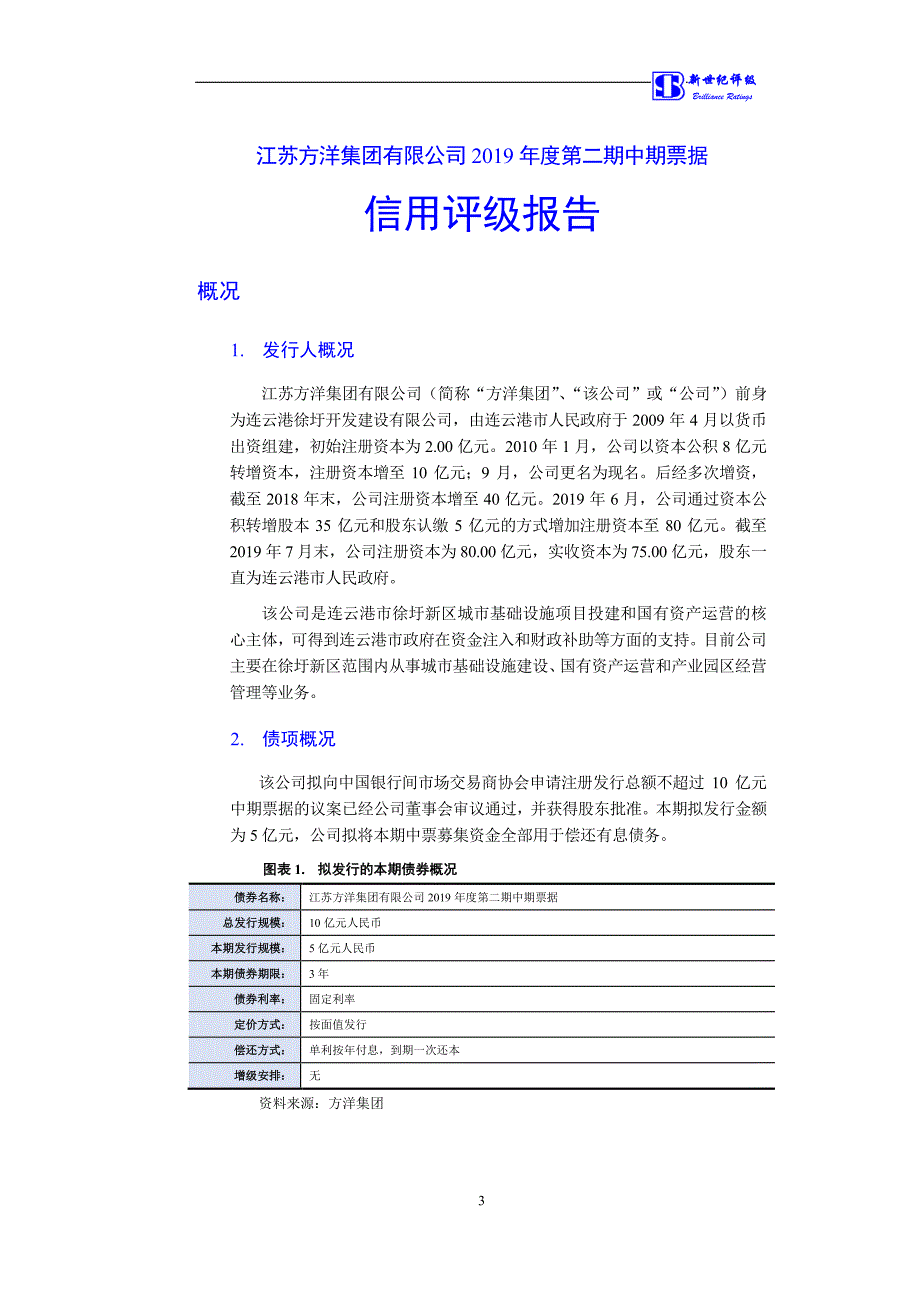 江苏方洋集团有限公司主体信用评级报告(更新)_第3页