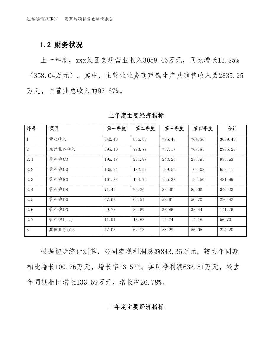 葫芦钩项目资金申请报告.docx_第5页