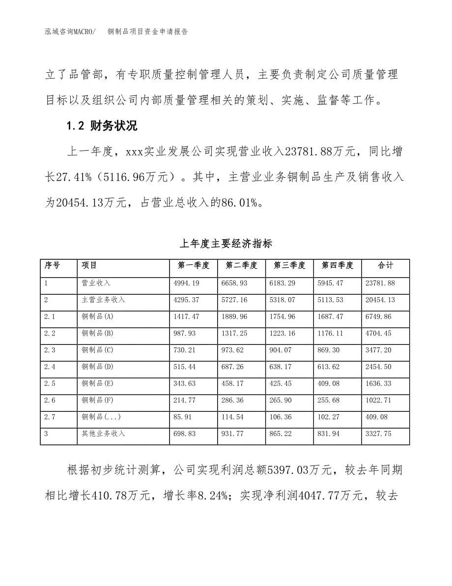 铜制品项目资金申请报告.docx_第5页