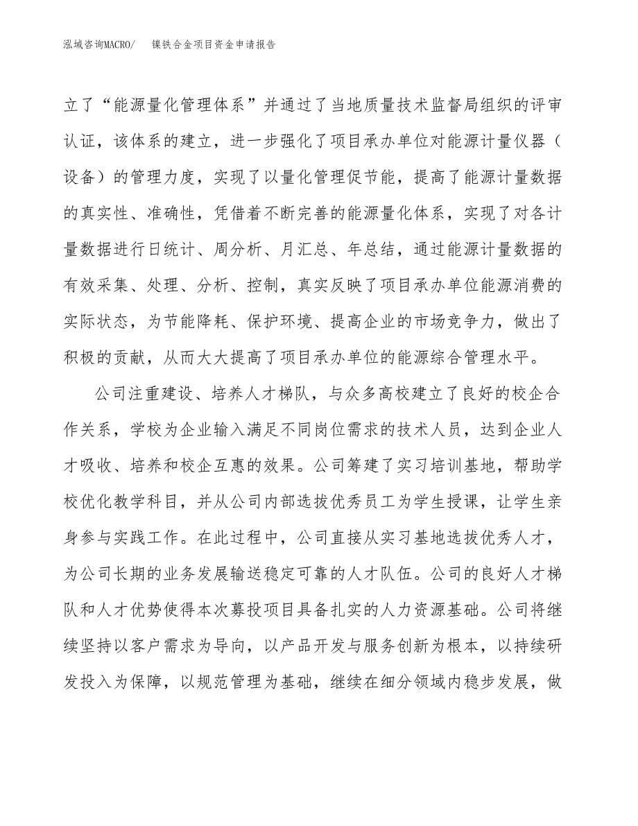 镍铁合金项目资金申请报告.docx_第5页