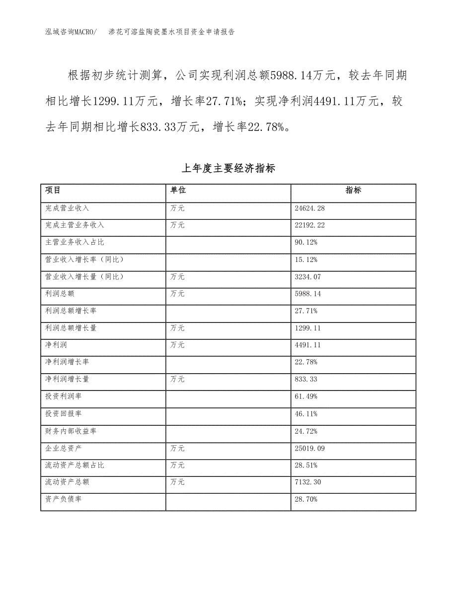 渗花可溶盐陶瓷墨水项目资金申请报告.docx_第5页