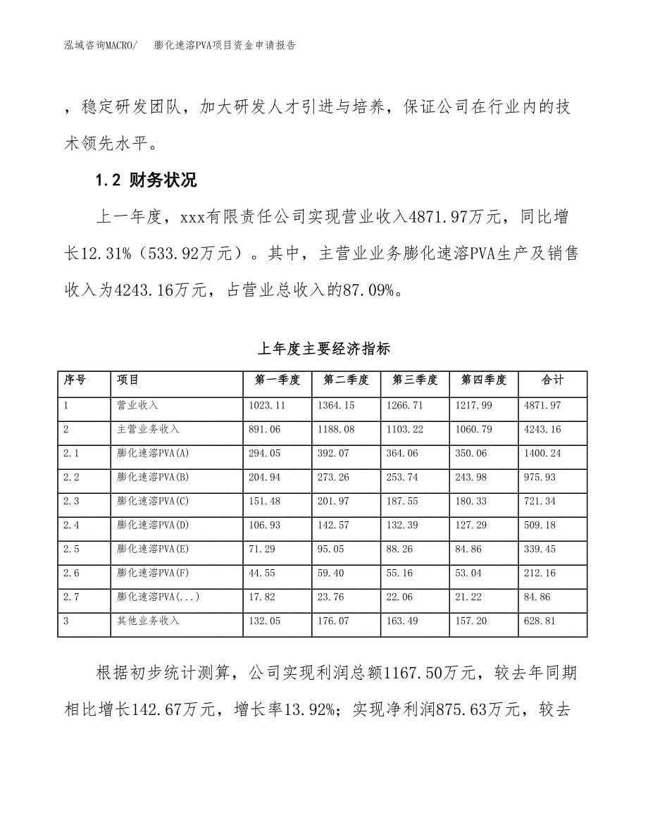 膨化速溶PVA项目资金申请报告.docx_第5页