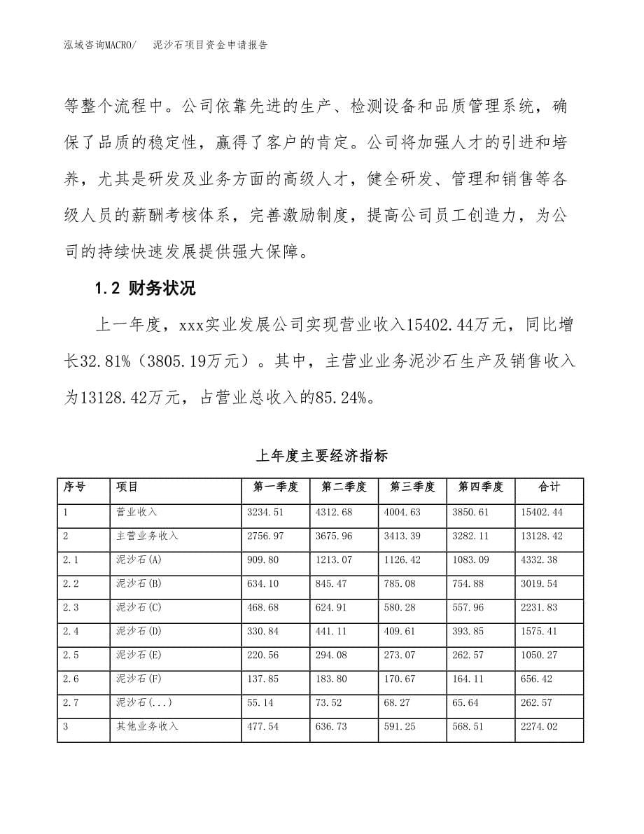 泥沙石项目资金申请报告.docx_第5页