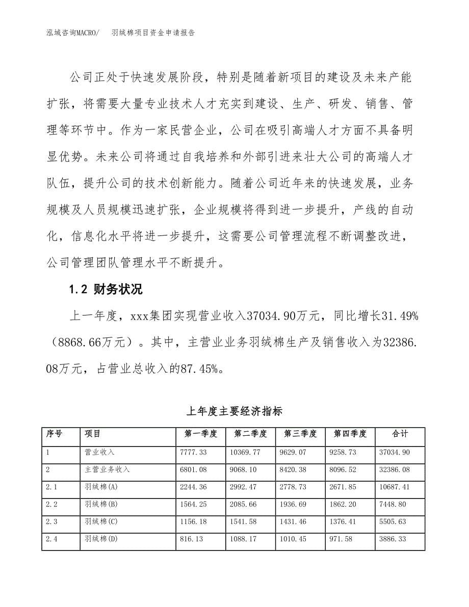 羽绒棉项目资金申请报告.docx_第5页