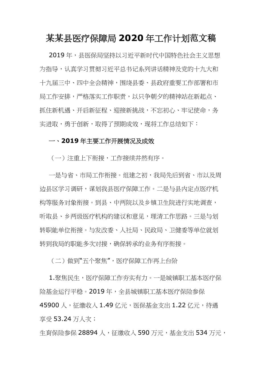 某某县医疗保障局2020年工作计划范文稿_第1页