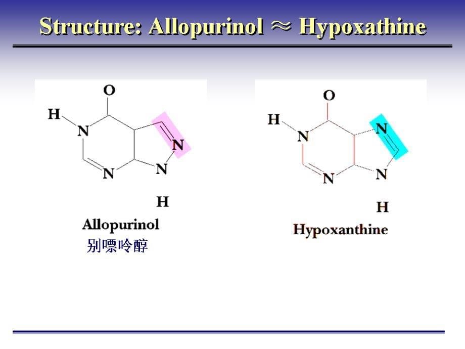 生物化学ppt 药外核苷酸代谢_第5页