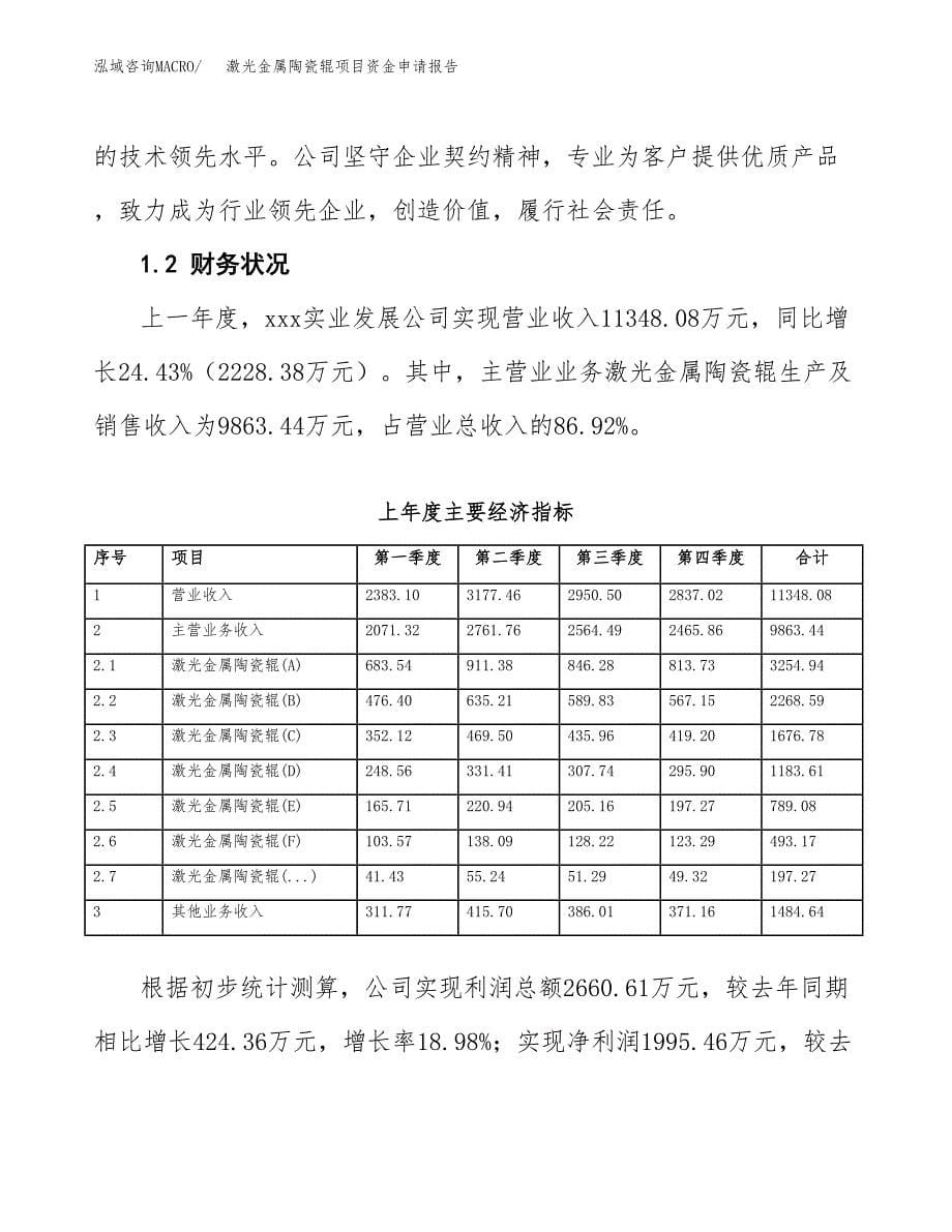 配套胶辊项目资金申请报告.docx_第5页