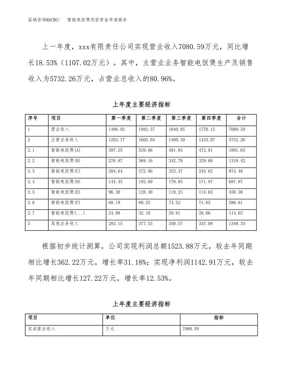 智能电饭煲项目资金申请报告.docx_第5页