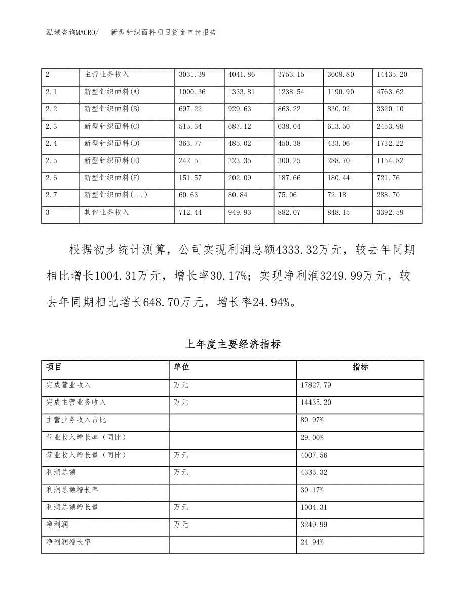 新型针织面料项目资金申请报告.docx_第5页