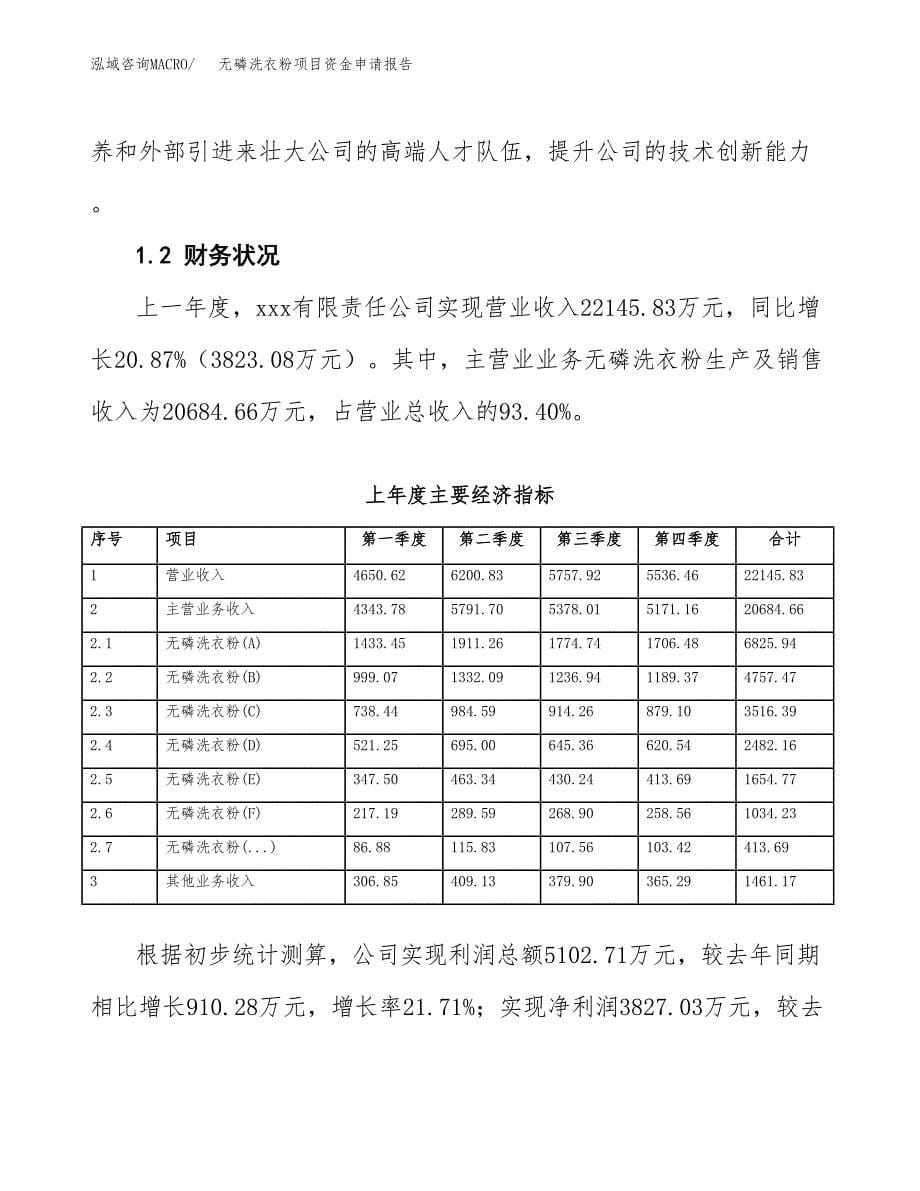 无磷洗衣粉项目资金申请报告.docx_第5页