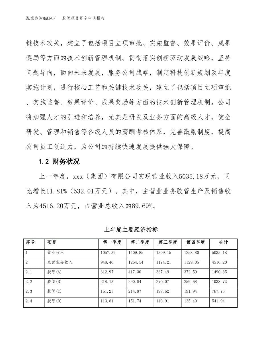 胶管项目资金申请报告.docx_第5页