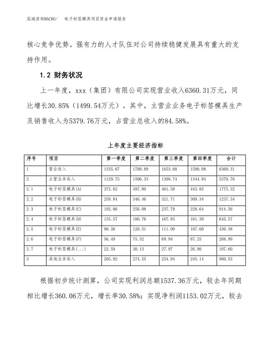 电子标签模具项目资金申请报告.docx_第5页