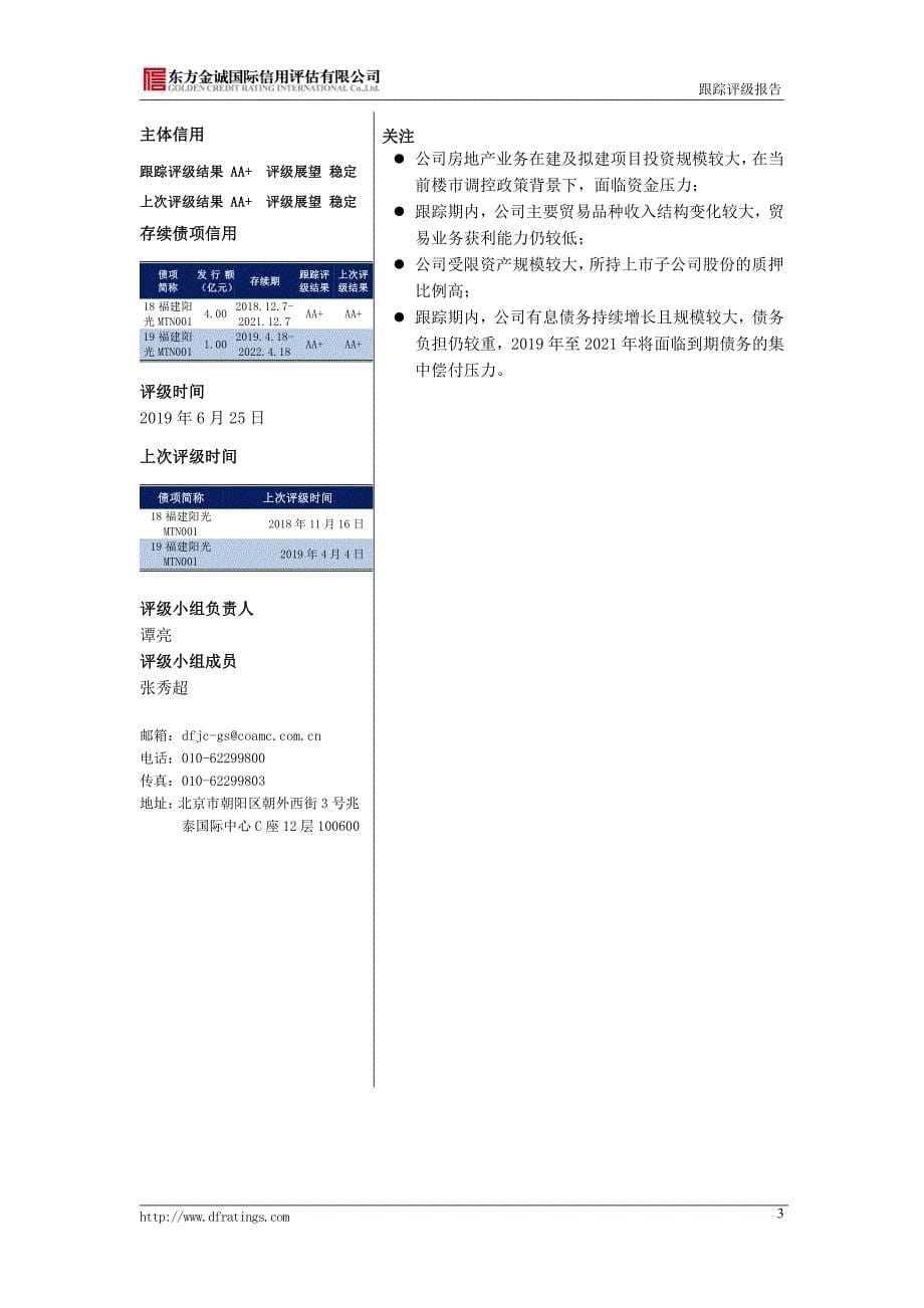 福建阳光集团有限公司主体信用评级报告及跟踪评级安排_第5页
