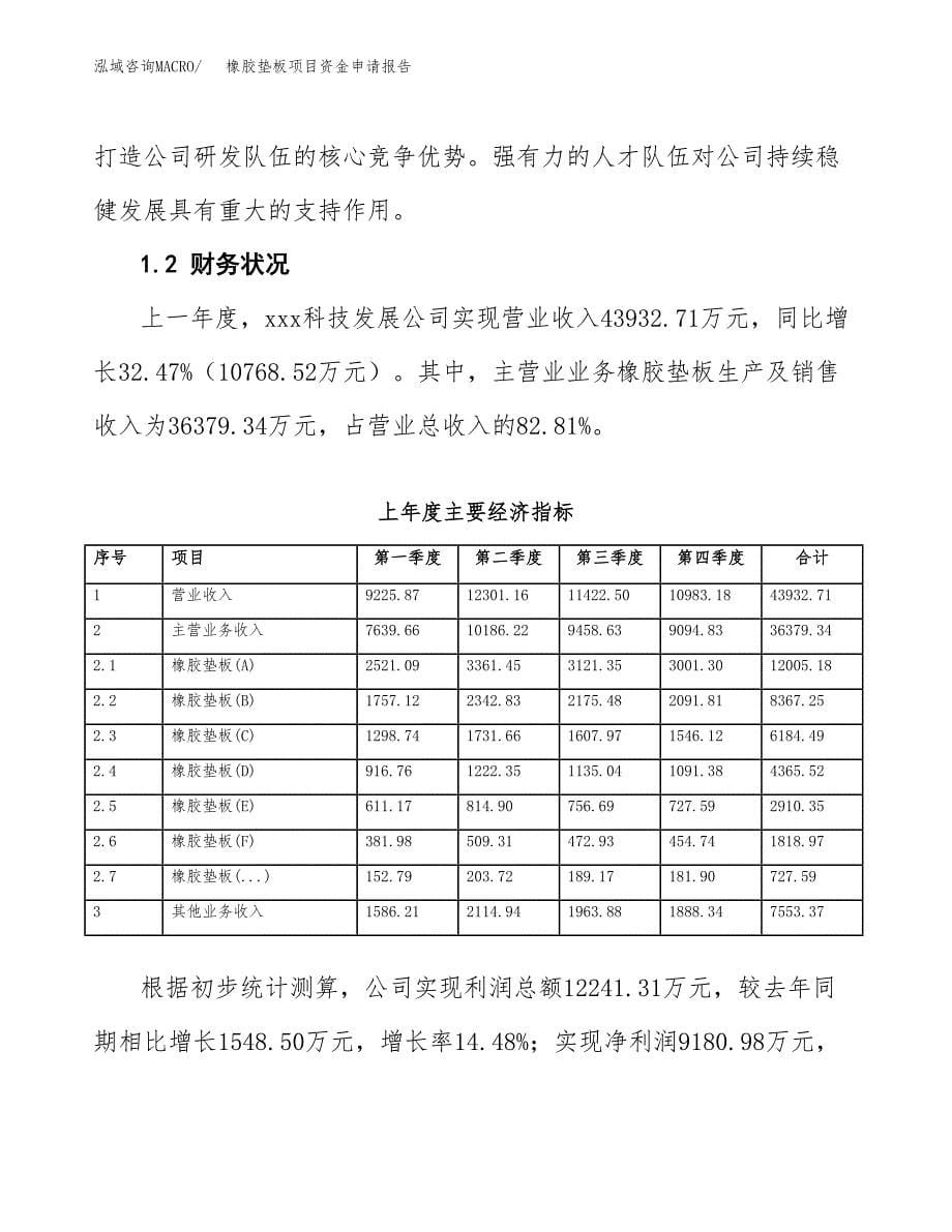 橡胶垫板项目资金申请报告.docx_第5页